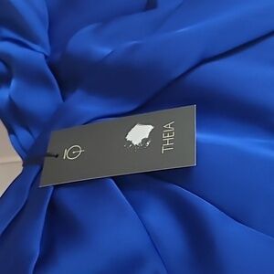 Theia Elegant Blue Evening Dress